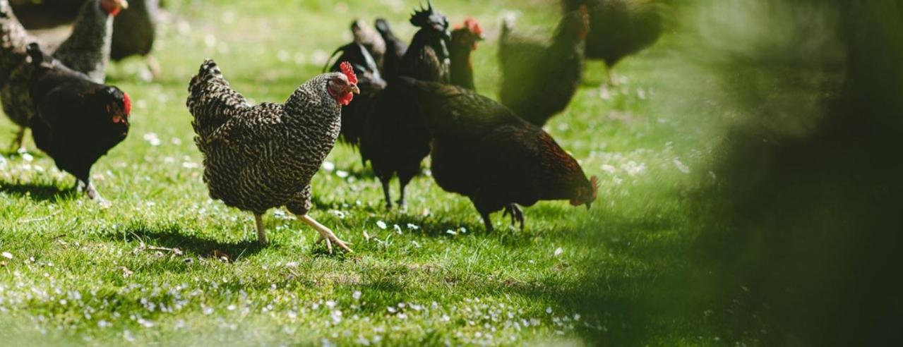Bio-Landhotel Moarwirt Dietramszell Dış mekan fotoğraf